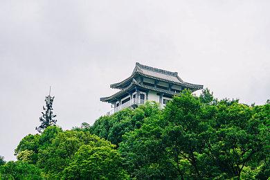 《博德之门3》将《Apex英雄》踢出Steam十大游玩人数最多游戏